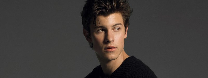 shawn mendes test