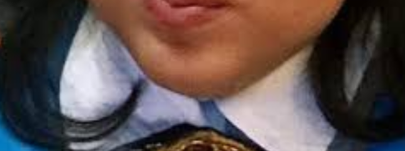 Cu&aacute;nto sabes de gibby