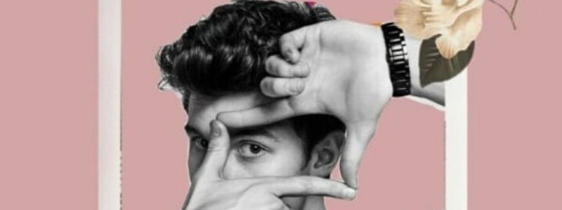 Cuanto sabes de shawn mendes