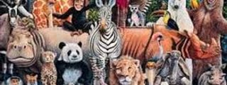 que animal eres?