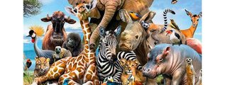 Que animal eres ?