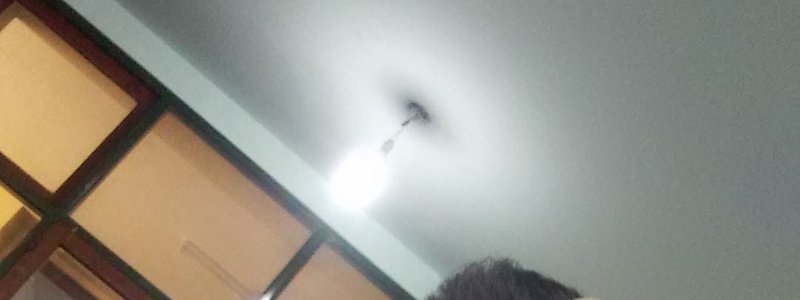 Que tan itegilente sos hecho por San y alan