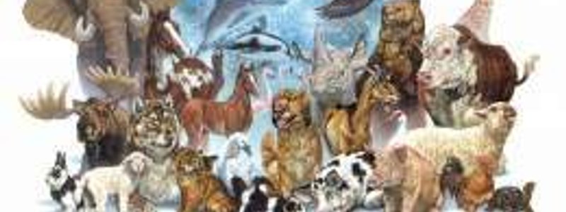 Test sobre clasificación de los animales según su alimentación