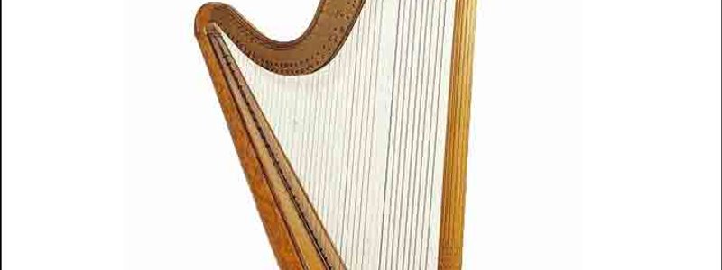 Instrumentos de cuerda 