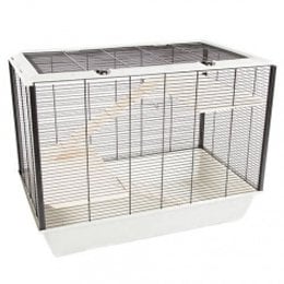 Un h&aacute;mster puede estar bien en una jaula que nada m&aacute; pueda tomar y comer - Cuanto sabes sobre los h&aacute;sters