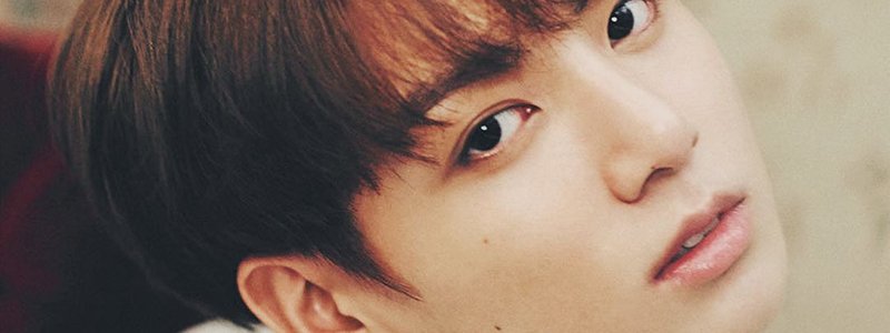 ¿Qué tan bien conoces a Kookie?