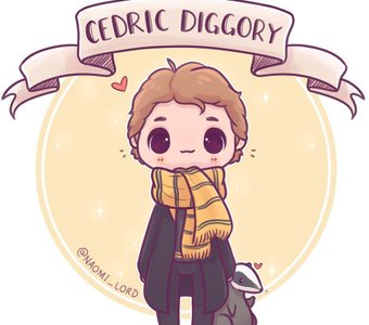 Resultado de &iquest;cual novio tendrias en la saga de harry potter?