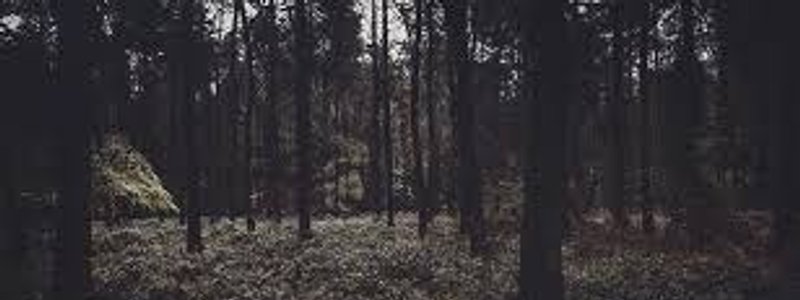 &iquest;que creepypasta eres? test