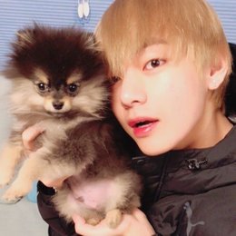 &iquest;cual es su nombre completo? - &iquest;V sera tu oppa:3?