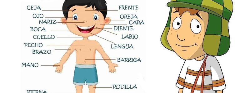 Partes de nuestro cuerpo