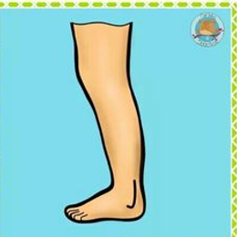 &iquest;Qu&eacute; parte de nuestro cuerpo nos permiten corre? - Partes de nuestro cuerpo