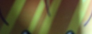Cuánto sabes sobre pvz2?