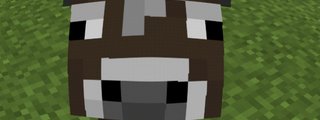 Cuanto sabes de minecraft 