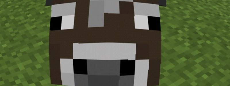 Cuanto sabes de minecraft 