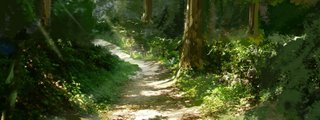 24 Horas En Un Bosque Atrapado 