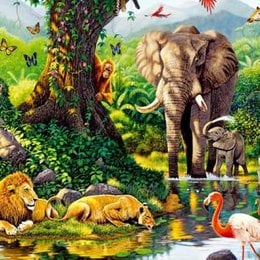 La comunidad Ecol&oacute;gica est&aacute; formada por: - La comunidad