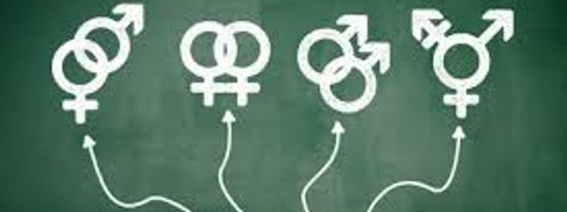 C&oacute;mo saber tu orientaci&oacute;n sexual