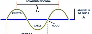 ¿Qué tipo de onda eres?