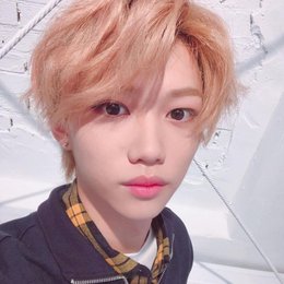 con que animal comparan a felix? - cuanto sabes sobre felix de stray kids 