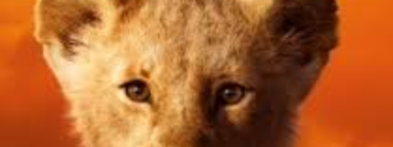 Cuanto sabes de el Rey leon