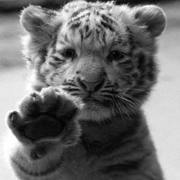 tyjhmkrtyhijoz&ntilde;xhLLKGJRTPORTJHOPROPYJRTYI - nfhxgbvzhdhkgsdgkldrjhteguisaryhuyJHSGDFJKDGHUYJSFGH