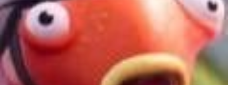 Test de Fortnite