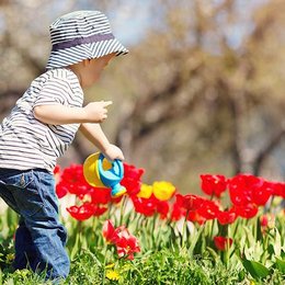 &iquest;Qu&eacute; podemos hacer para cuidar a las abejas? - &iquest;Cu&aacute;nto sabemos sobre el maravilloso mundo de las abejas?