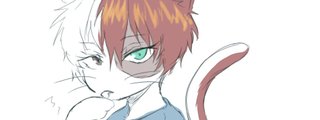 cuanto sabes do todoroki