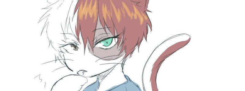 cuanto sabes do todoroki