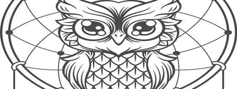 cuanto sabes de matematica