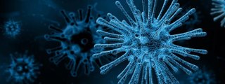 ENFERMEDADES EPIDEMIOLOGICAS 