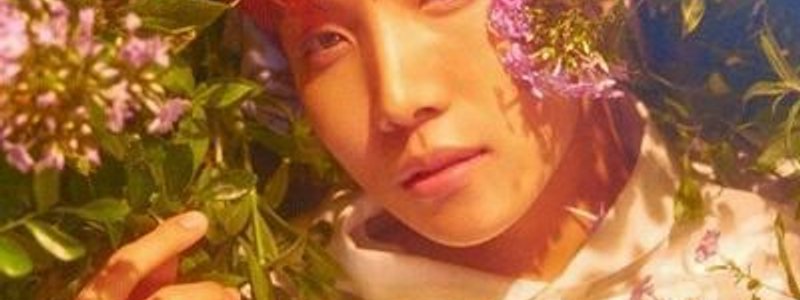 ¿Cuánto le gustarias a J-hope? 