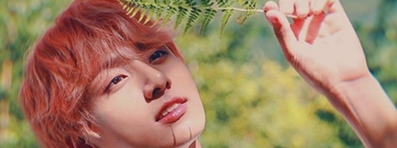 ¿cuanto sabes de Jeon JungKook?