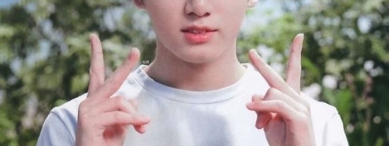 Cuanto sabes de jungkook?