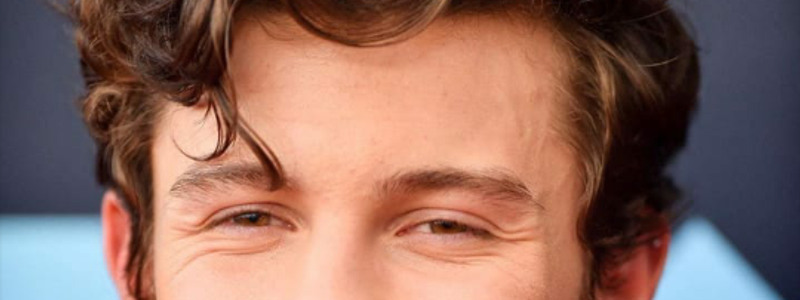 ¿Qué tanto sabes de Shawn Mendes?