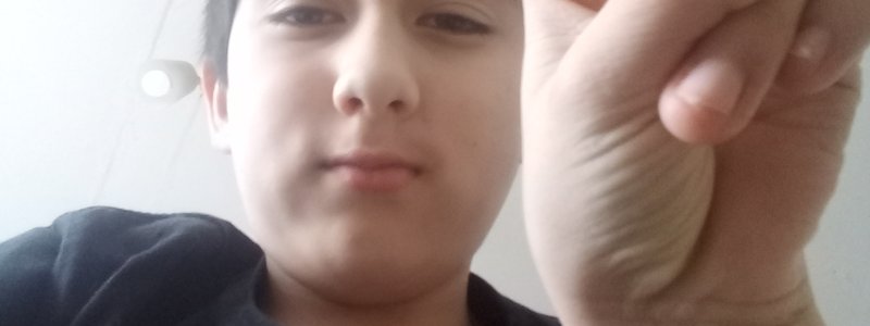 Cuanto sabes sobre bruno