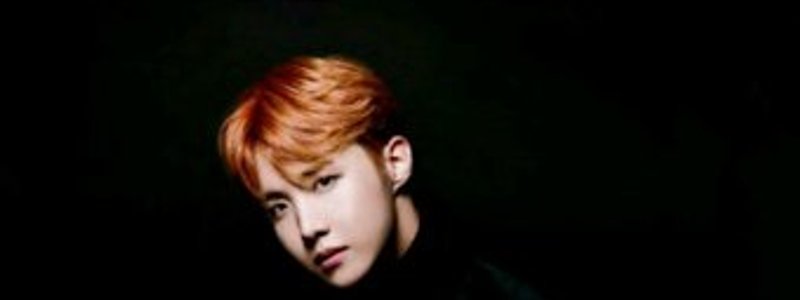 Tipo ideal de J hope