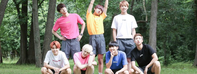 ¿Cuál es tu bias?  BTS