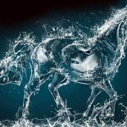 como se llama  su grupo de fans - cuanto sabes de  blackpink