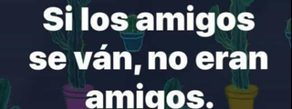 Adivina como te ven los demas