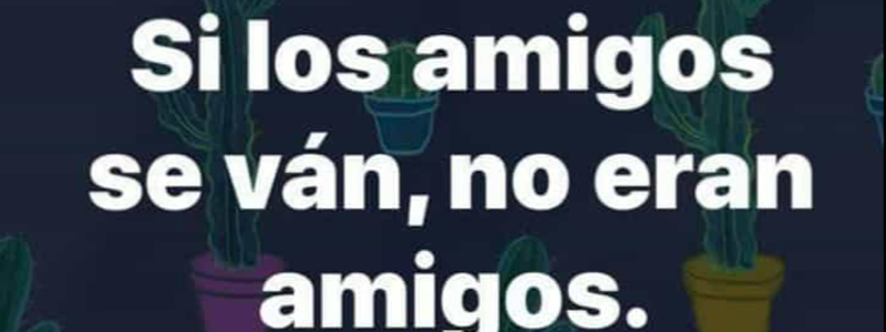 Adivina como te ven los demas