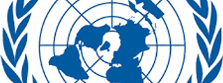 Que es la ONU y la FMI