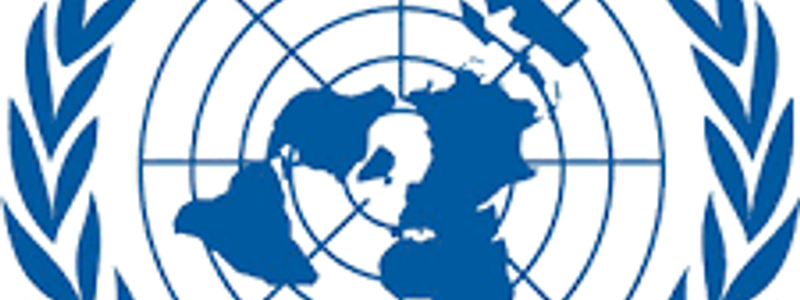 Que es la ONU y la FMI