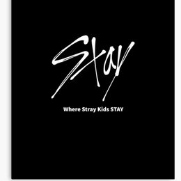 &iquest;quien es el l&iacute;der? - &iquest;cuanto conoces a stray kids?