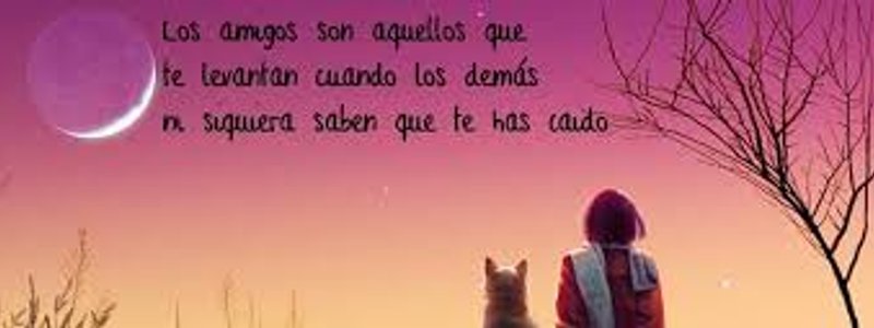 Test de amistad verdadera