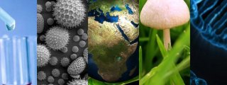 ¿Qué tanto conoces sobre biología? 