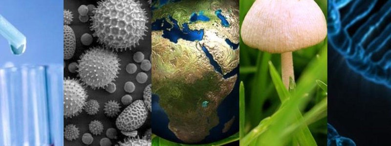 ¿Qué tanto conoces sobre biología? 