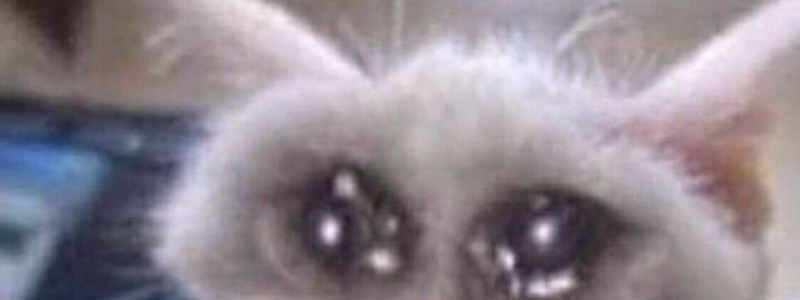 Eres otako re kuliao?