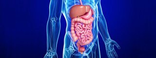TEST DE FISIOLOGÍA DE GASTRO