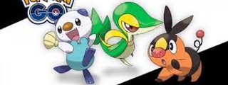 seras el mejor entrenador pokemon?